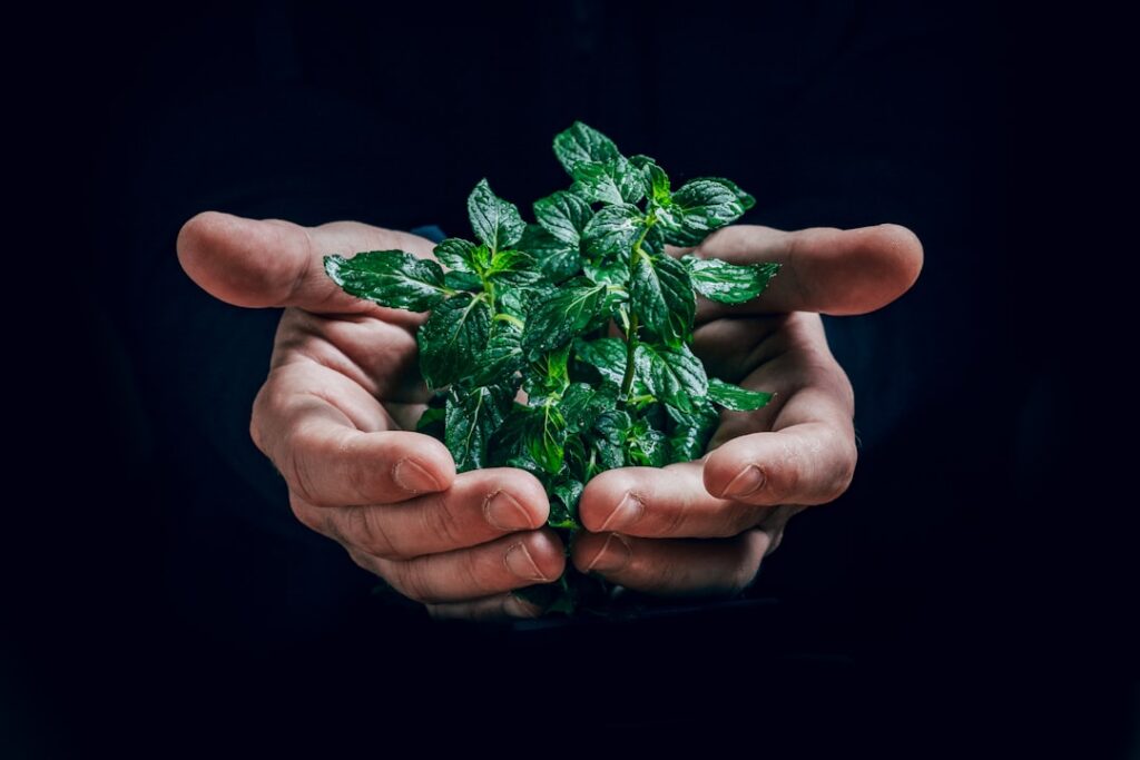 Eco-prêt à taux zéro Eco-prêt à taux zéro